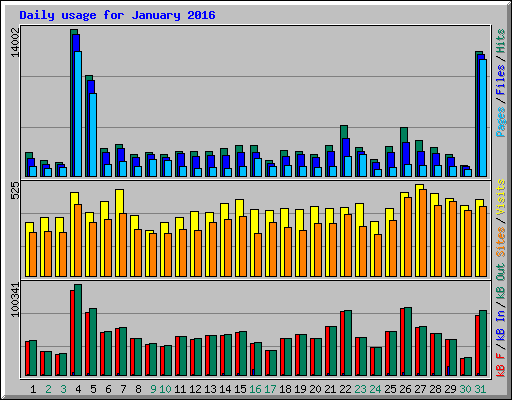 Daily usage for January 2016