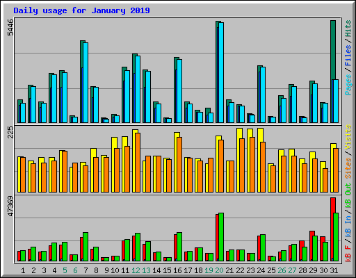 Daily usage for January 2019
