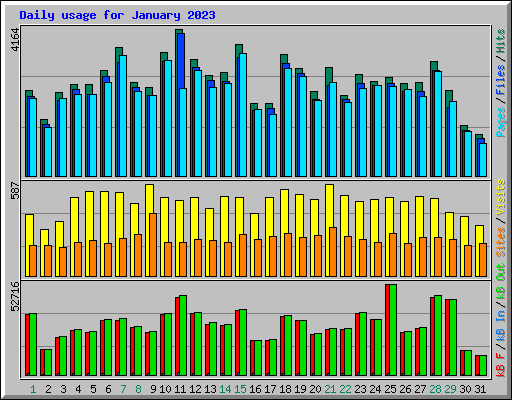 Daily usage for January 2023