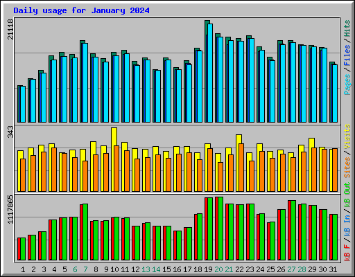 Daily usage for January 2024