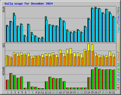 Daily usage for December 2024