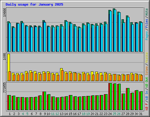 Daily usage for January 2025