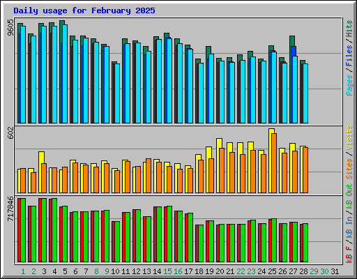 Daily usage for February 2025