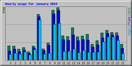 Hourly usage for January 2016