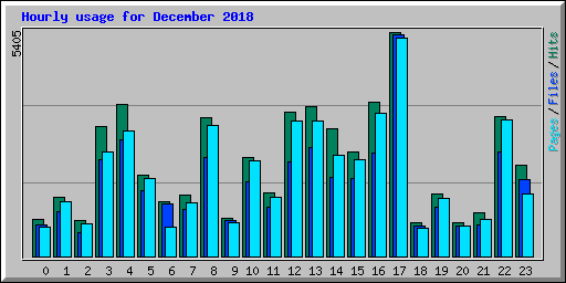 Hourly usage for December 2018