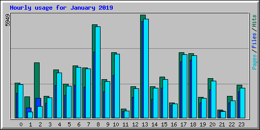 Hourly usage for January 2019