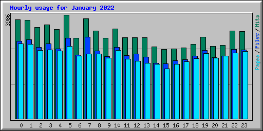 Hourly usage for January 2022