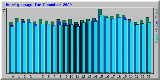 Hourly usage for December 2022