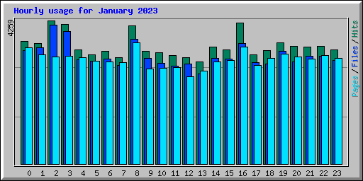 Hourly usage for January 2023