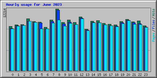 Hourly usage for June 2023