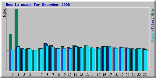 Hourly usage for December 2023