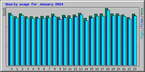 Hourly usage for January 2024