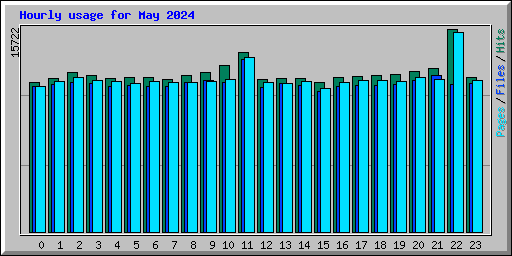 Hourly usage for May 2024