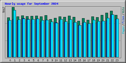Hourly usage for September 2024