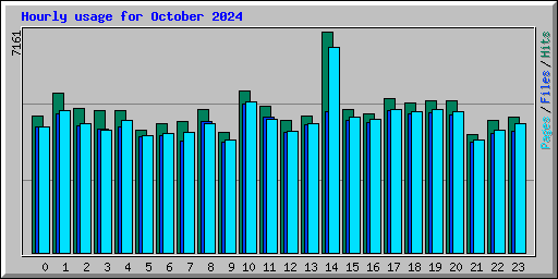 Hourly usage for October 2024