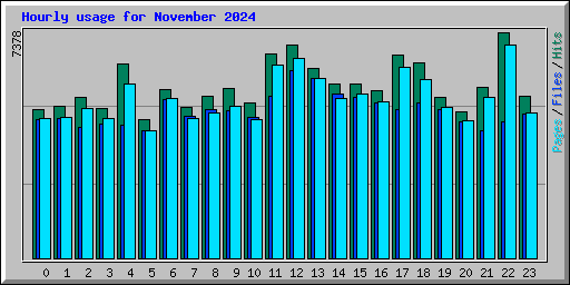 Hourly usage for November 2024