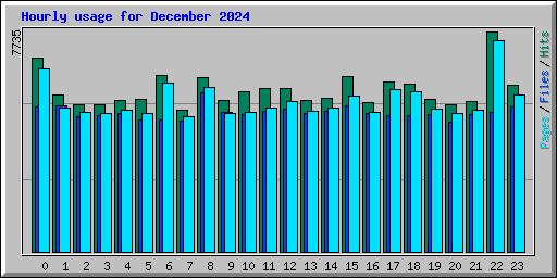 Hourly usage for December 2024