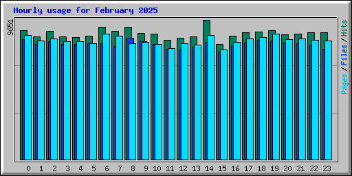 Hourly usage for February 2025