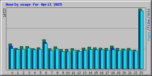 Hourly usage for April 2025