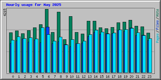 Hourly usage for May 2025