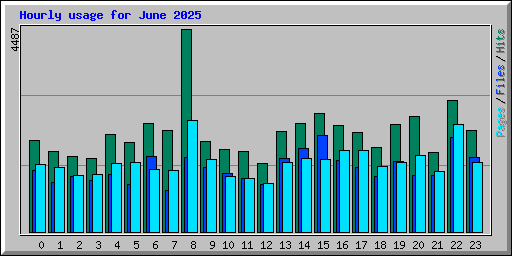 Hourly usage for June 2025