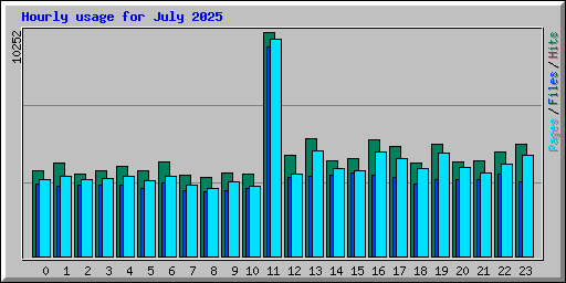 Hourly usage for July 2025