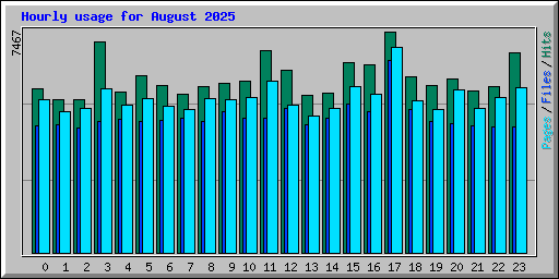 Hourly usage for August 2025