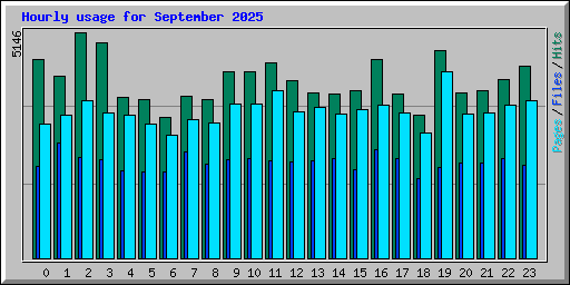 Hourly usage for September 2025