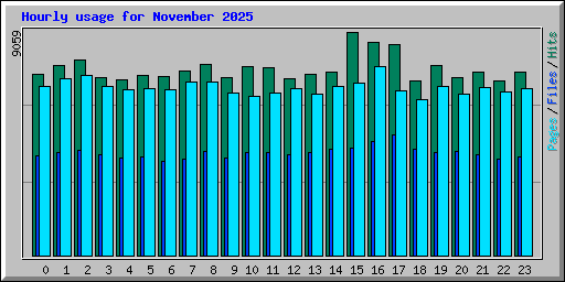 Hourly usage for November 2025