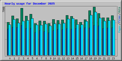Hourly usage for December 2025