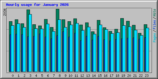 Hourly usage for January 2026
