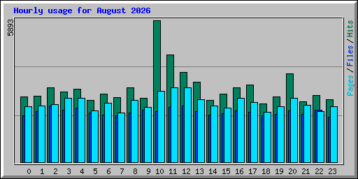 Hourly usage for August 2026